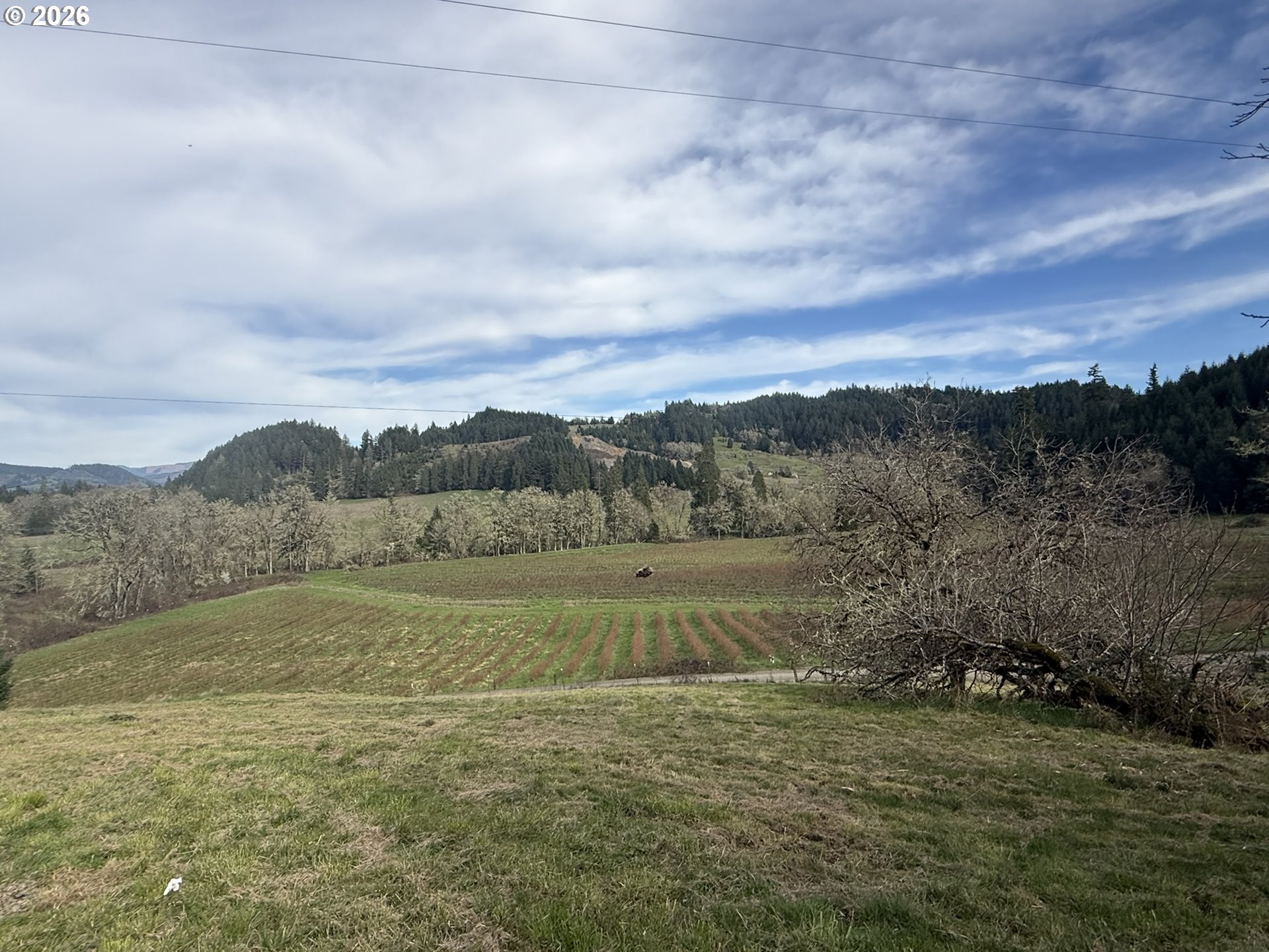 355 Banks Creek Road Sutherlin, OR 97479 - Photo 13 of 48