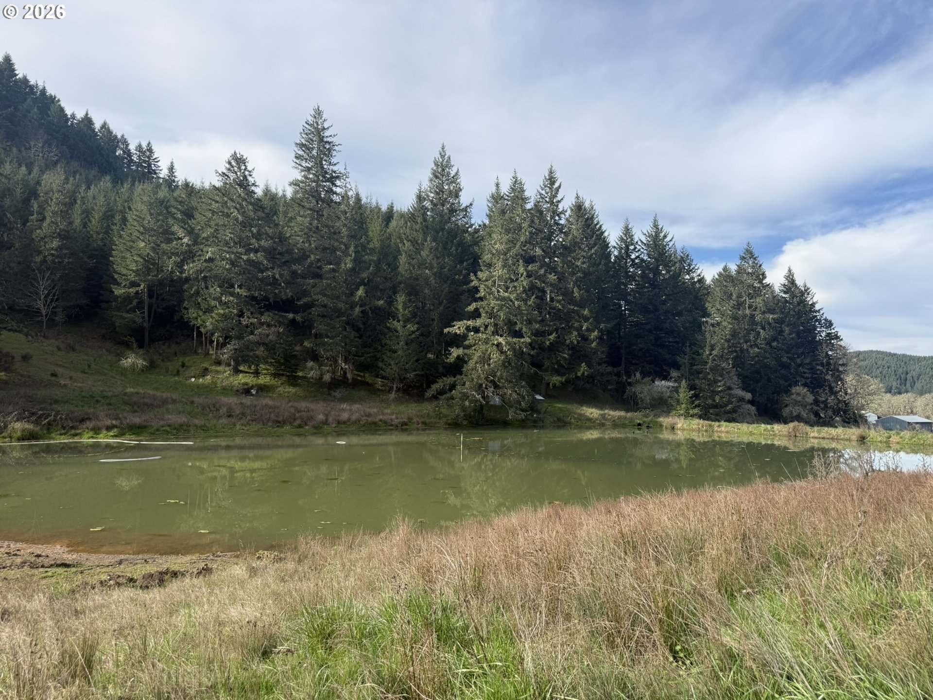 355 Banks Creek Road Sutherlin, OR 97479 - Photo 15 of 48