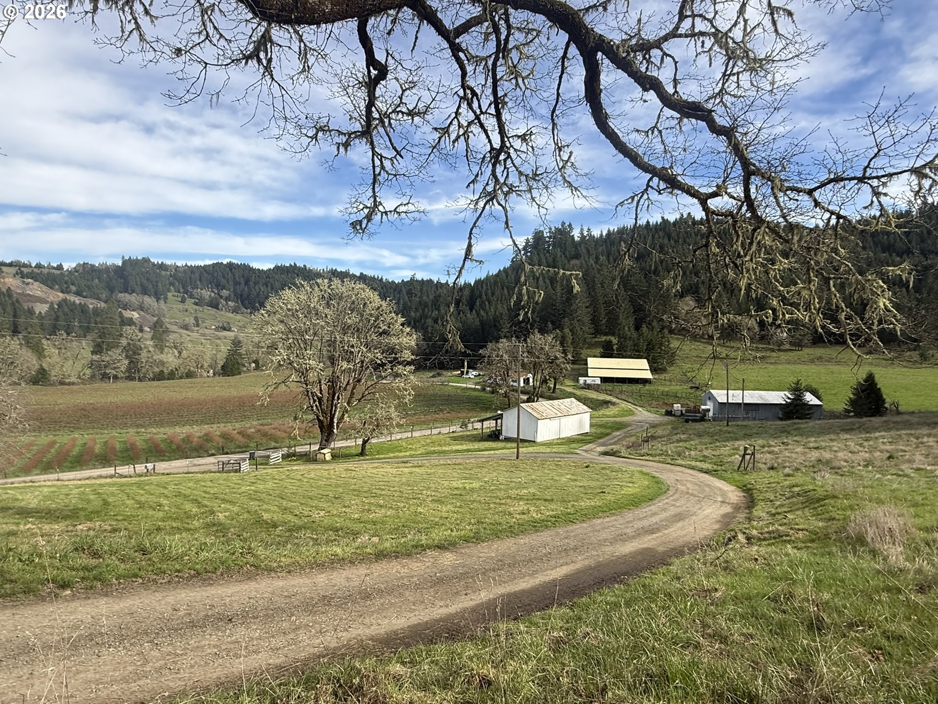 355 Banks Creek Road Sutherlin, OR 97479 - Photo 2 of 48