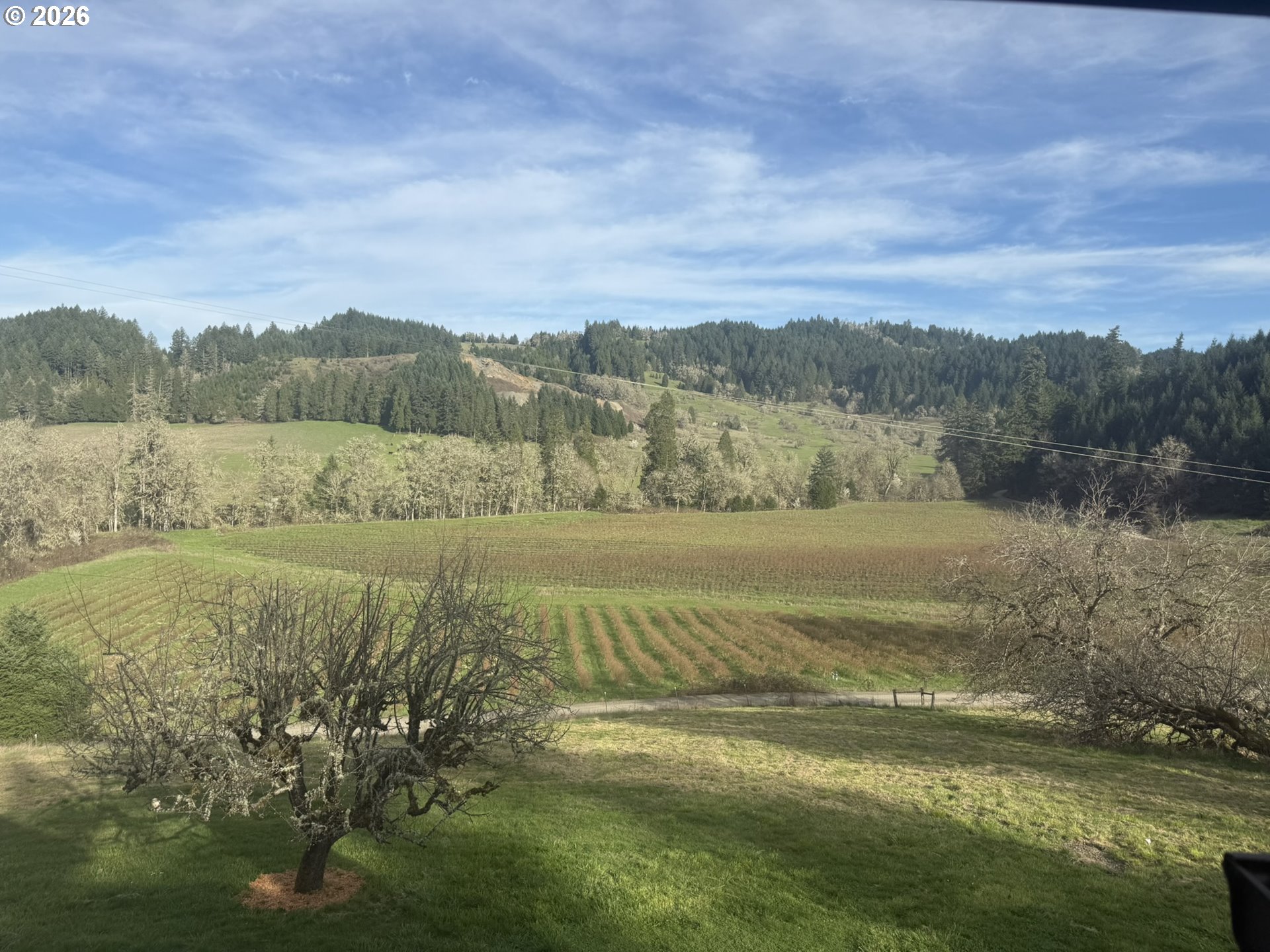 355 Banks Creek Road Sutherlin, OR 97479 - Photo 29 of 48