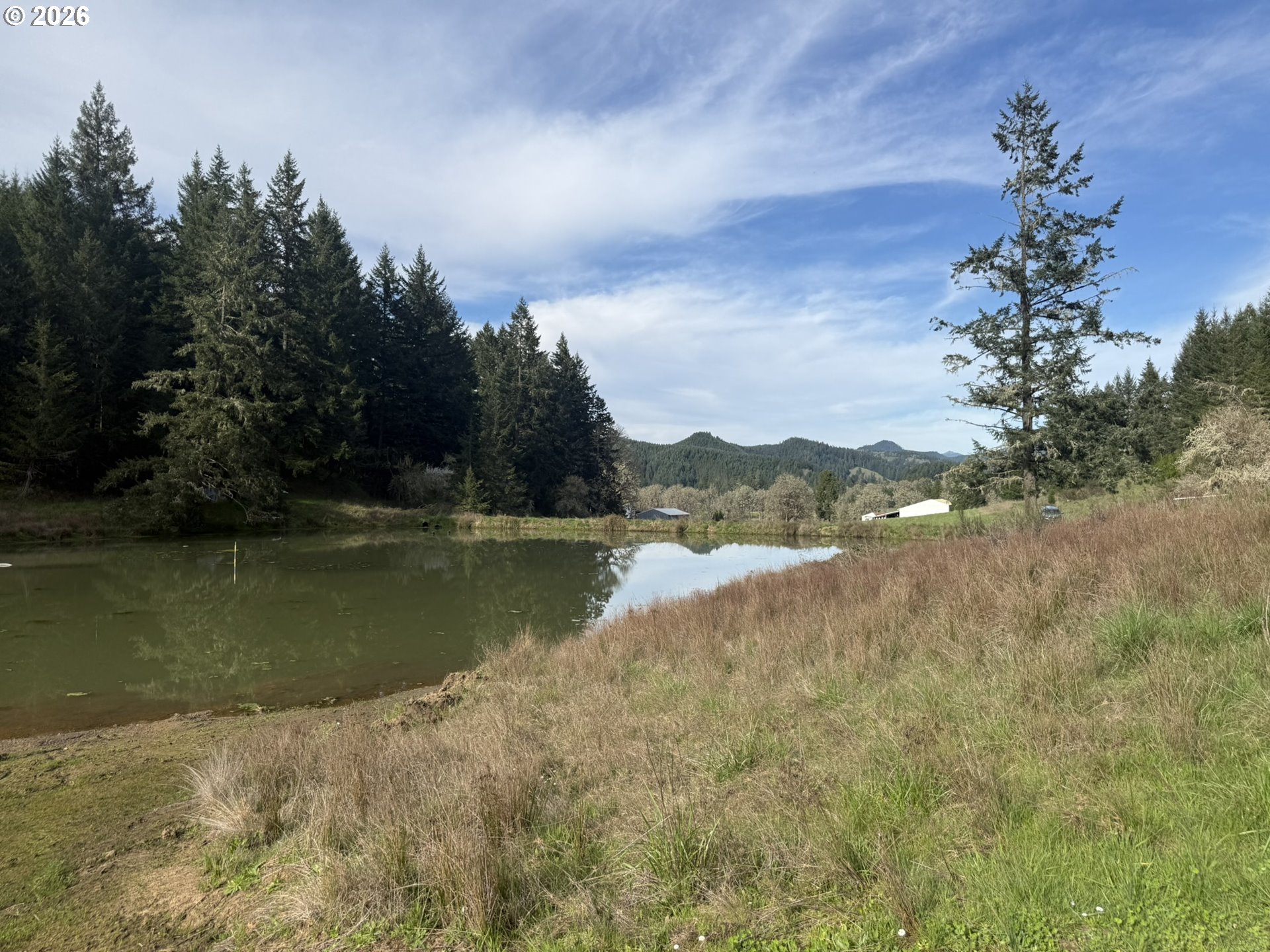 355 Banks Creek Road Sutherlin, OR 97479 - Photo 46 of 48