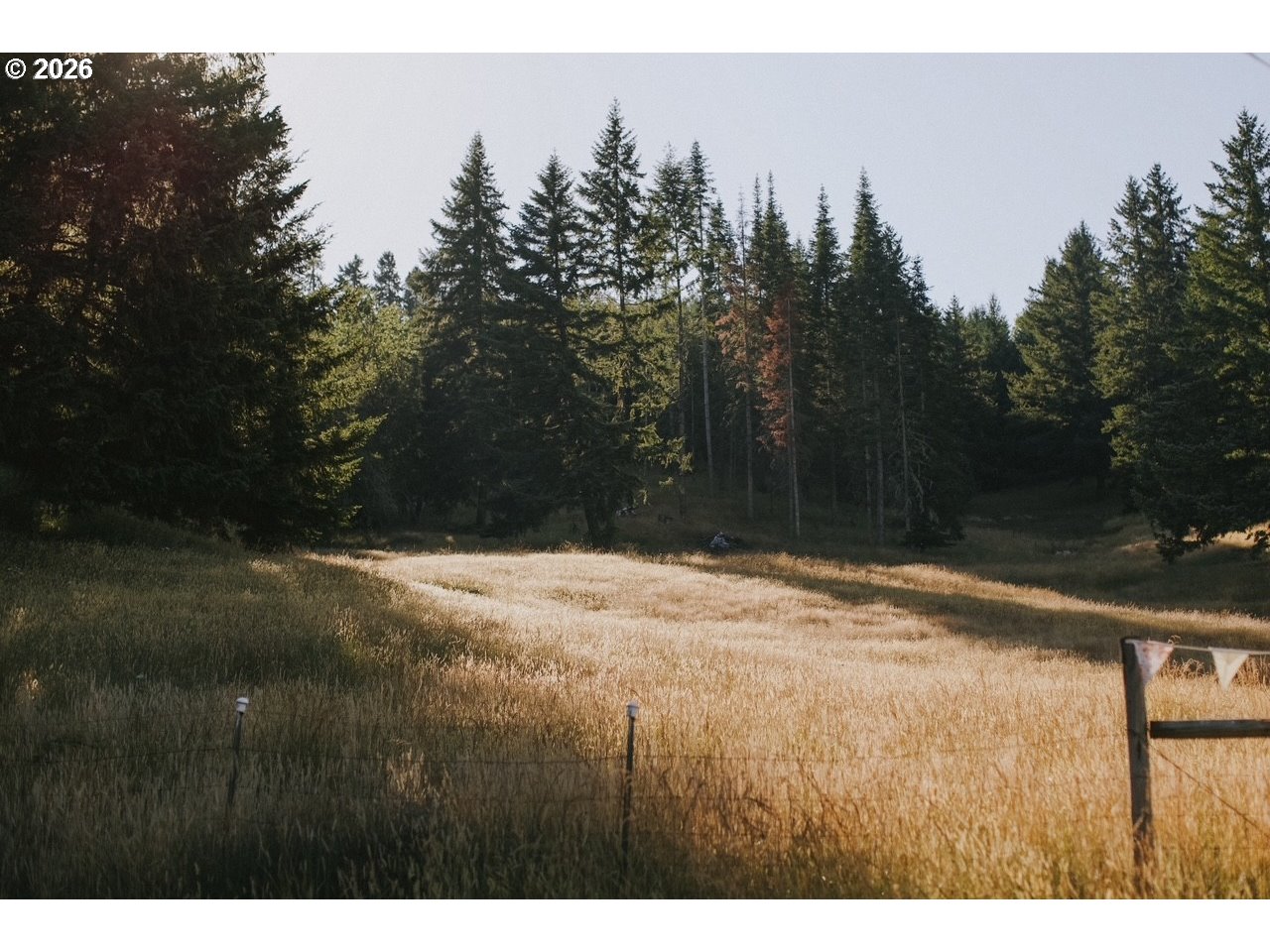 355 Banks Creek Road Sutherlin, OR 97479 - Photo 48 of 48