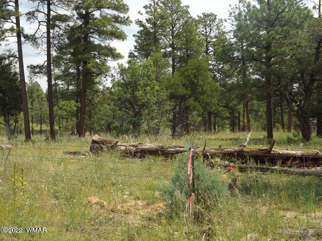 Tbd Lost Way Overgaard, AZ 85933 - Photo 1 of 6