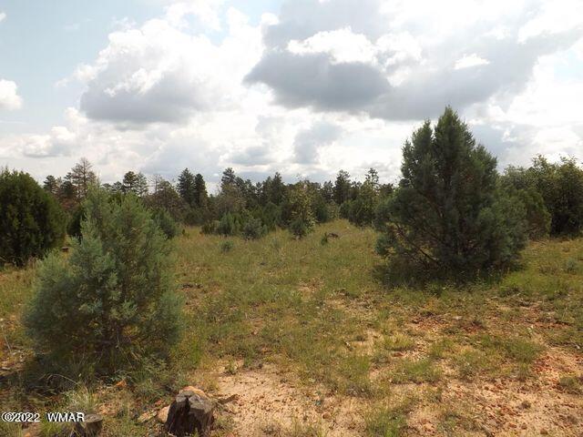 Tbd Lost Way Overgaard, AZ 85933 - Photo 3 of 6