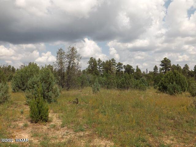 Tbd Lost Way Overgaard, AZ 85933 - Photo 6 of 6