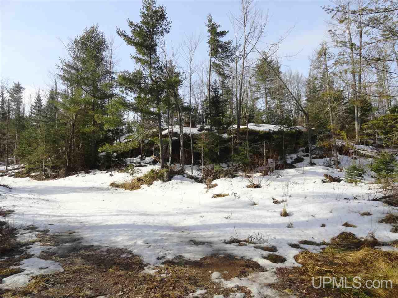 116-acres 116-acres Co Road Negaunee, MI 49866 - Photo 27 of 37