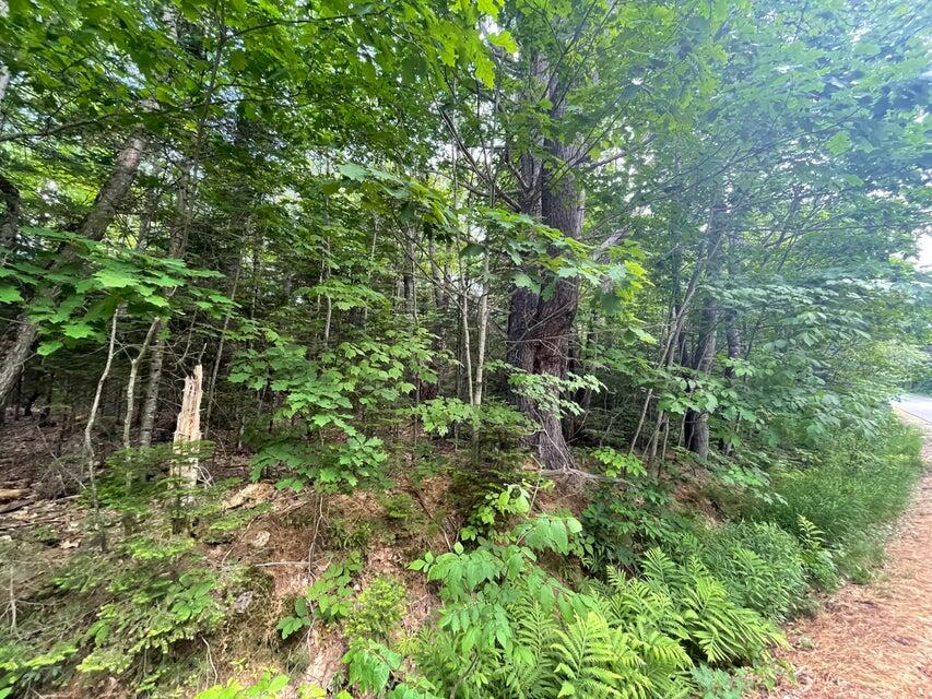 80 Gammon Road Peru, ME 04290 - Photo 7 of 18