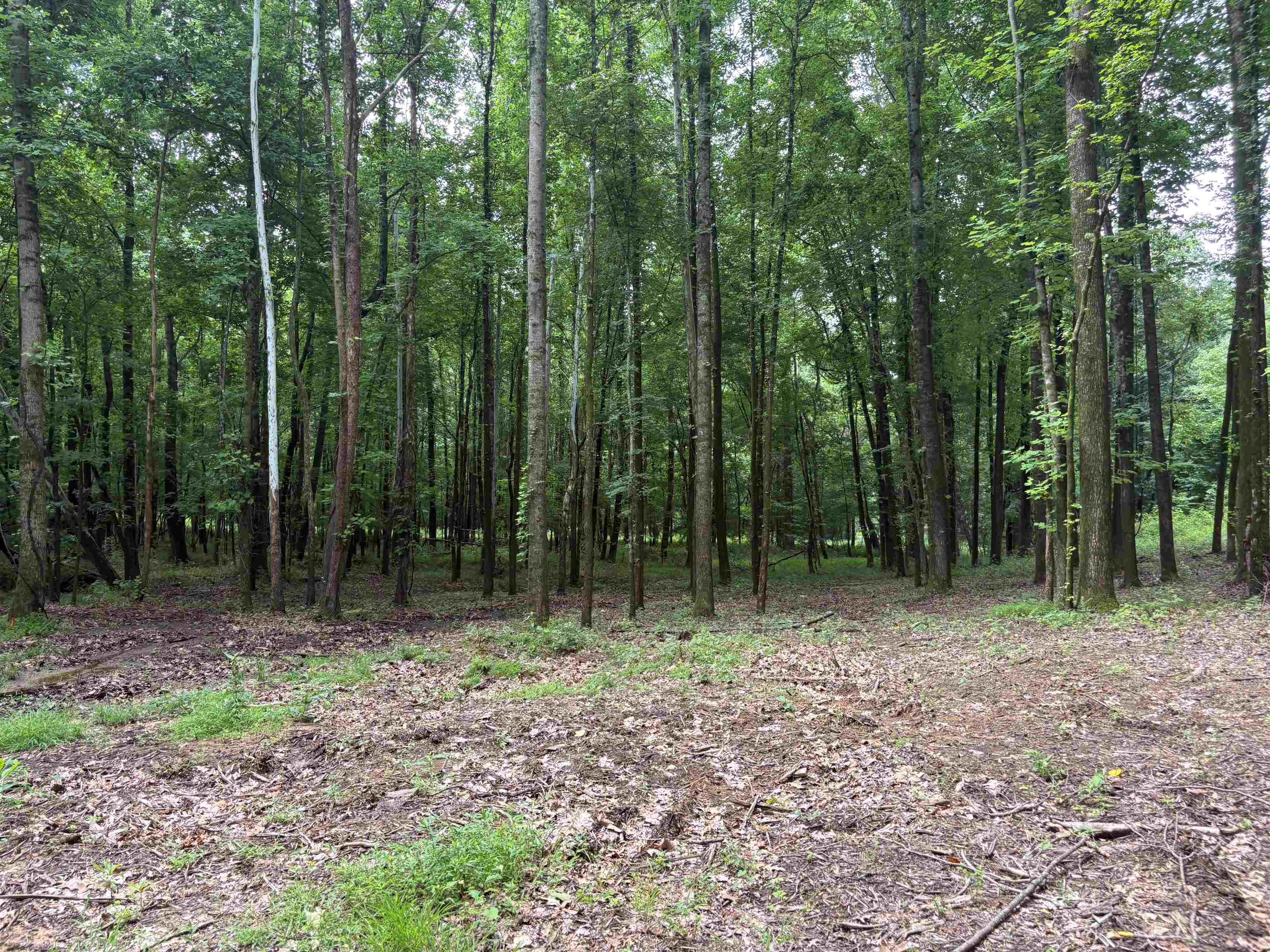 0 Billy Maher Road Bartlett, TN 38135 - Photo 10 of 19