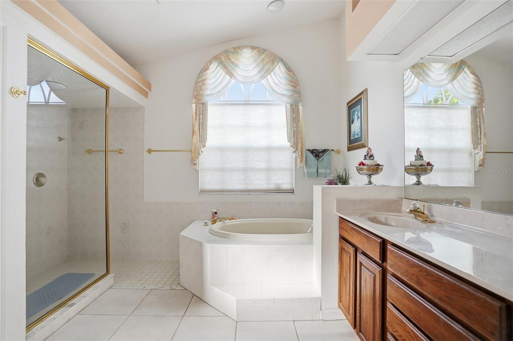 12054 Conway Street Spring Hill, FL 34609 - Photo 23 of 49 a bathroom with a sink a bathtub and next to a window