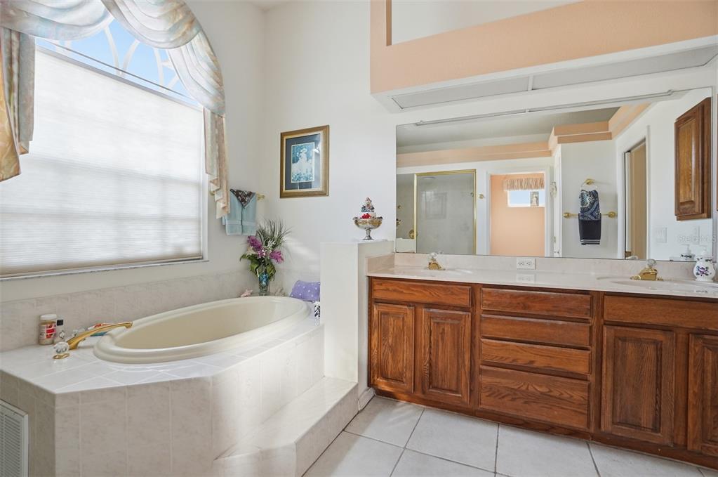 12054 Conway Street Spring Hill, FL 34609 - Photo 24 of 49 a bathroom with a tub sink and mirror