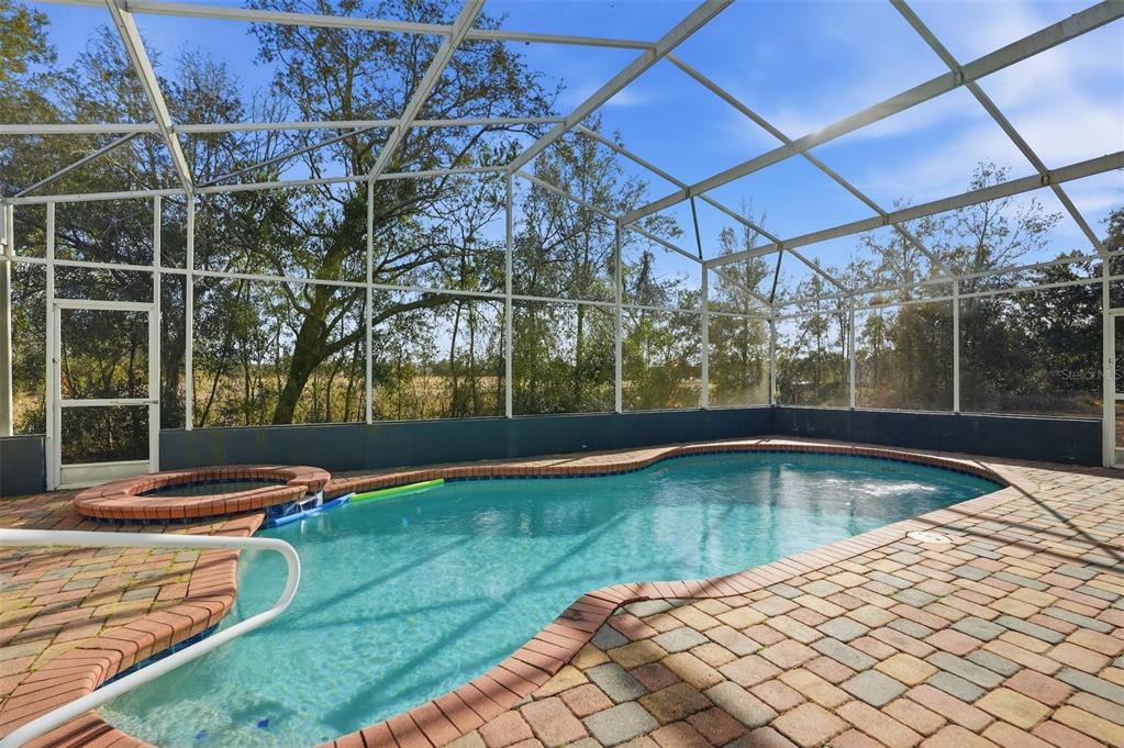 12054 Conway Street Spring Hill, FL 34609 - Photo 36 of 49 a view of a swimming pool with a yard