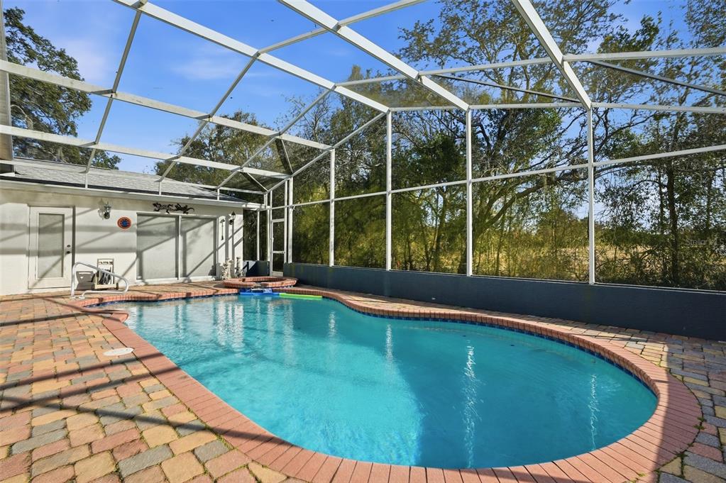 12054 Conway Street Spring Hill, FL 34609 - Photo 37 of 49 a view of a swimming pool with a patio