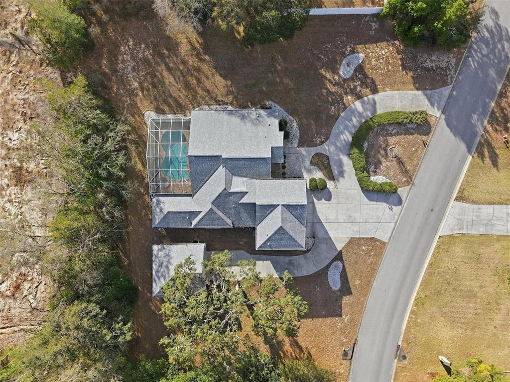 12054 Conway Street Spring Hill, FL 34609 - Photo 45 of 49 an aerial view of a house with swimming pool and large trees