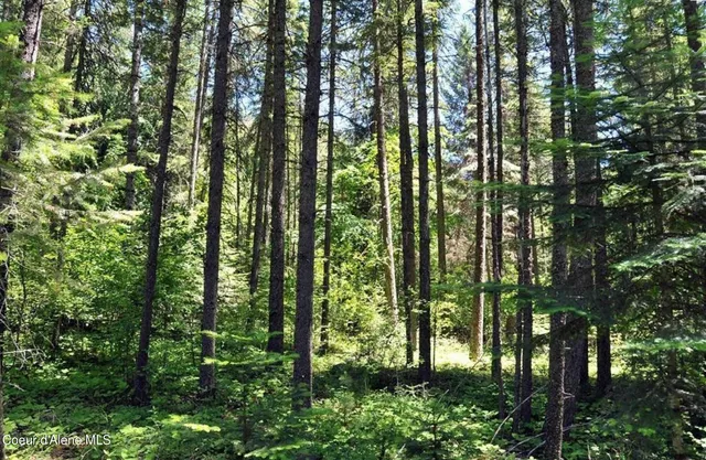 $290,000 | 60317 Highway 200, Clark Fork, ID 83811