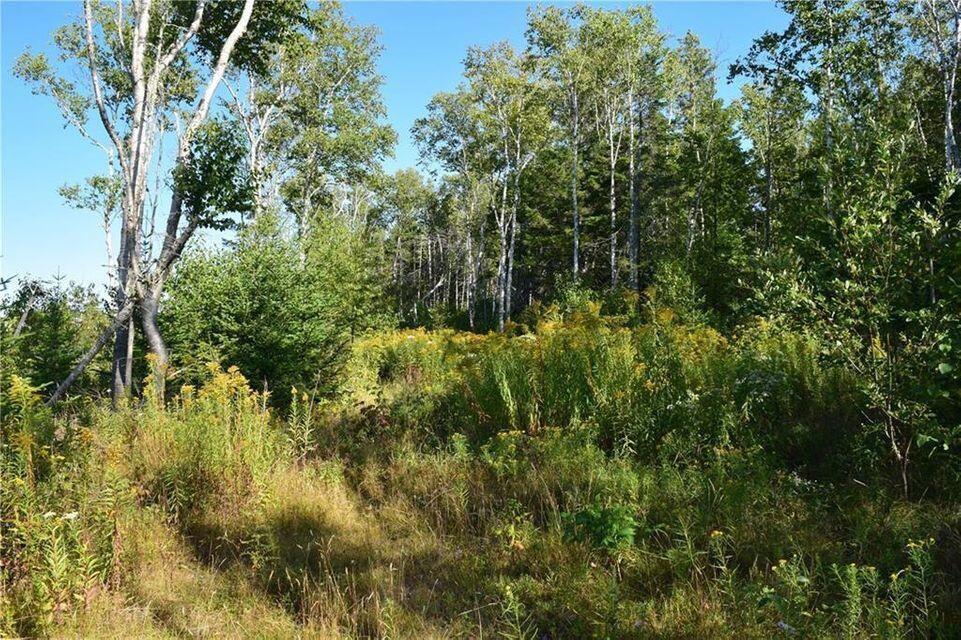 M8-l53a North Lubec Road Lubec, ME 04652 - Photo 30 of 37 30