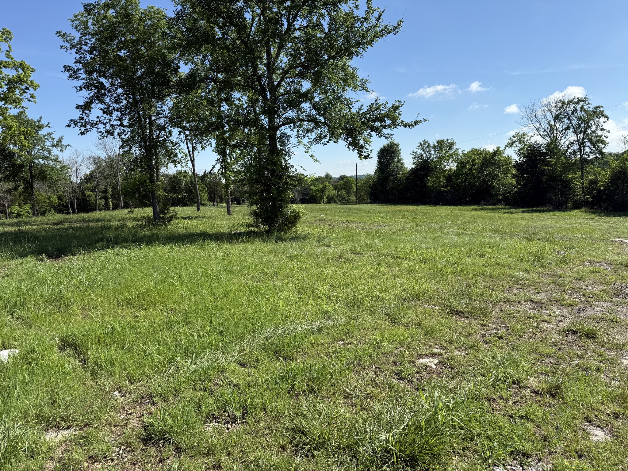 1250 Athens Road Lebanon, TN 37087 - Photo 7 of 10 a view of field with trees in the background