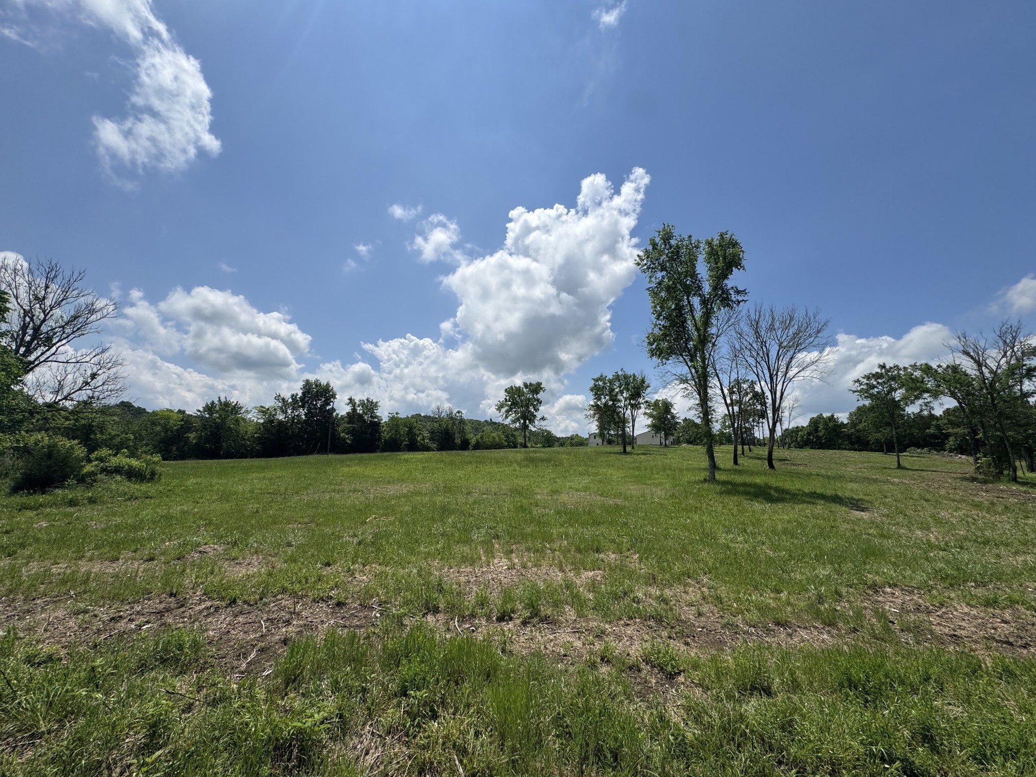 1250 Athens Road Lebanon, TN 37087 - Photo 8 of 10 a view of a big yard with large trees