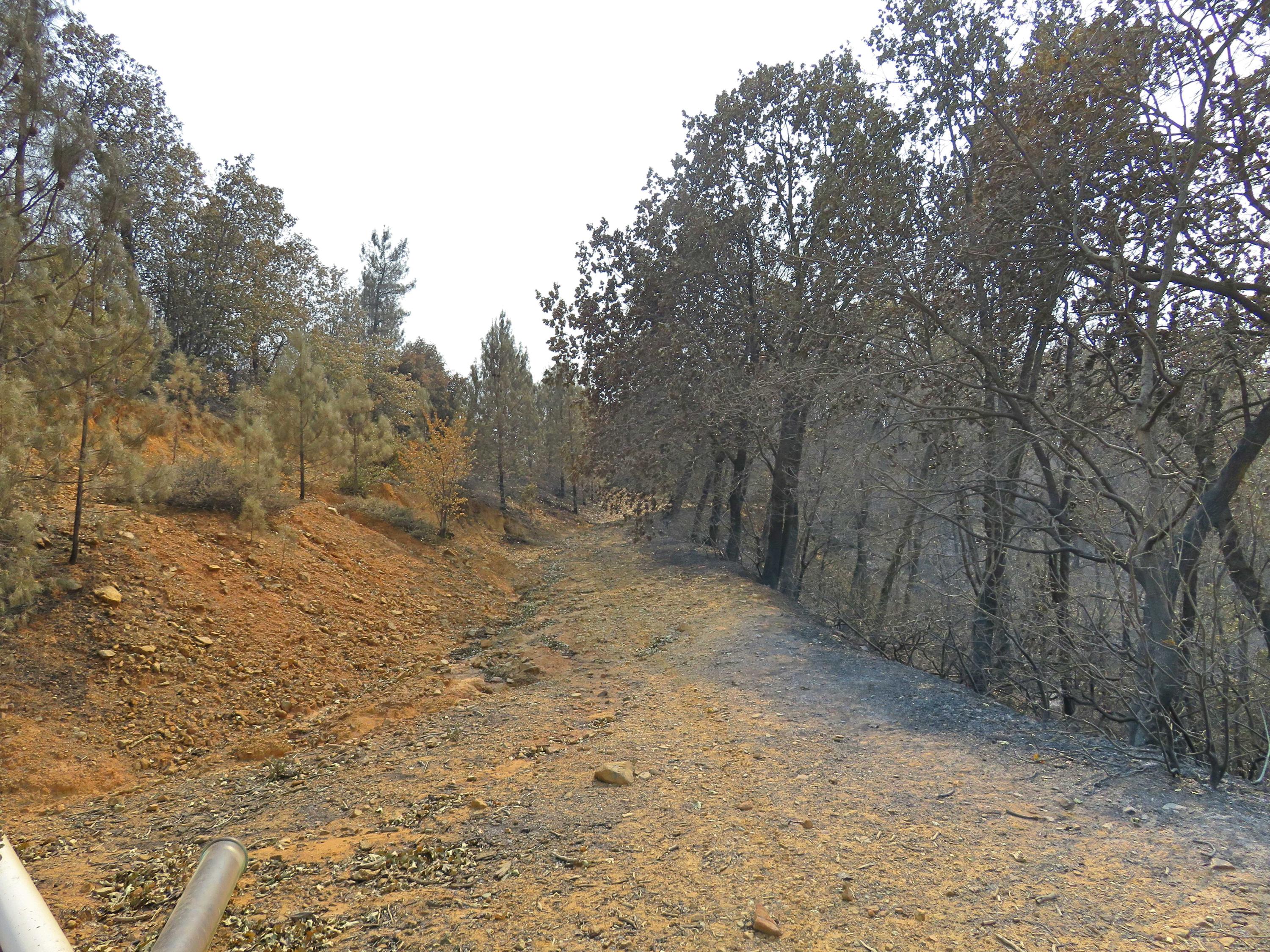 82-acres Blackbart Road Shasta, CA 96087 - Photo 2 of 23 Start of easement Road