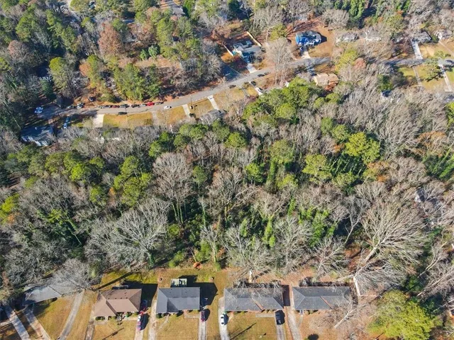 a view of a yard with plants and large trees