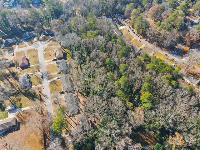 a view of a garden with plants