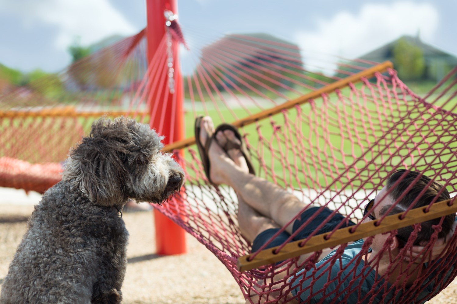 1010 A Brickell Loop Austin, TX 78744 - Photo 12 of 14 Easton Park