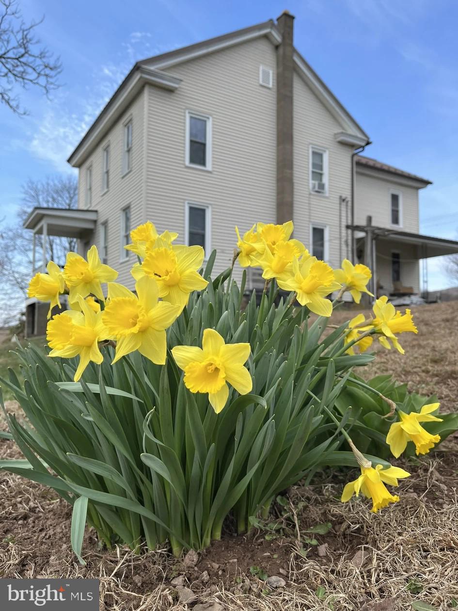 148 Falck Road Rebuck, PA 17867 - Photo 1 of 11
