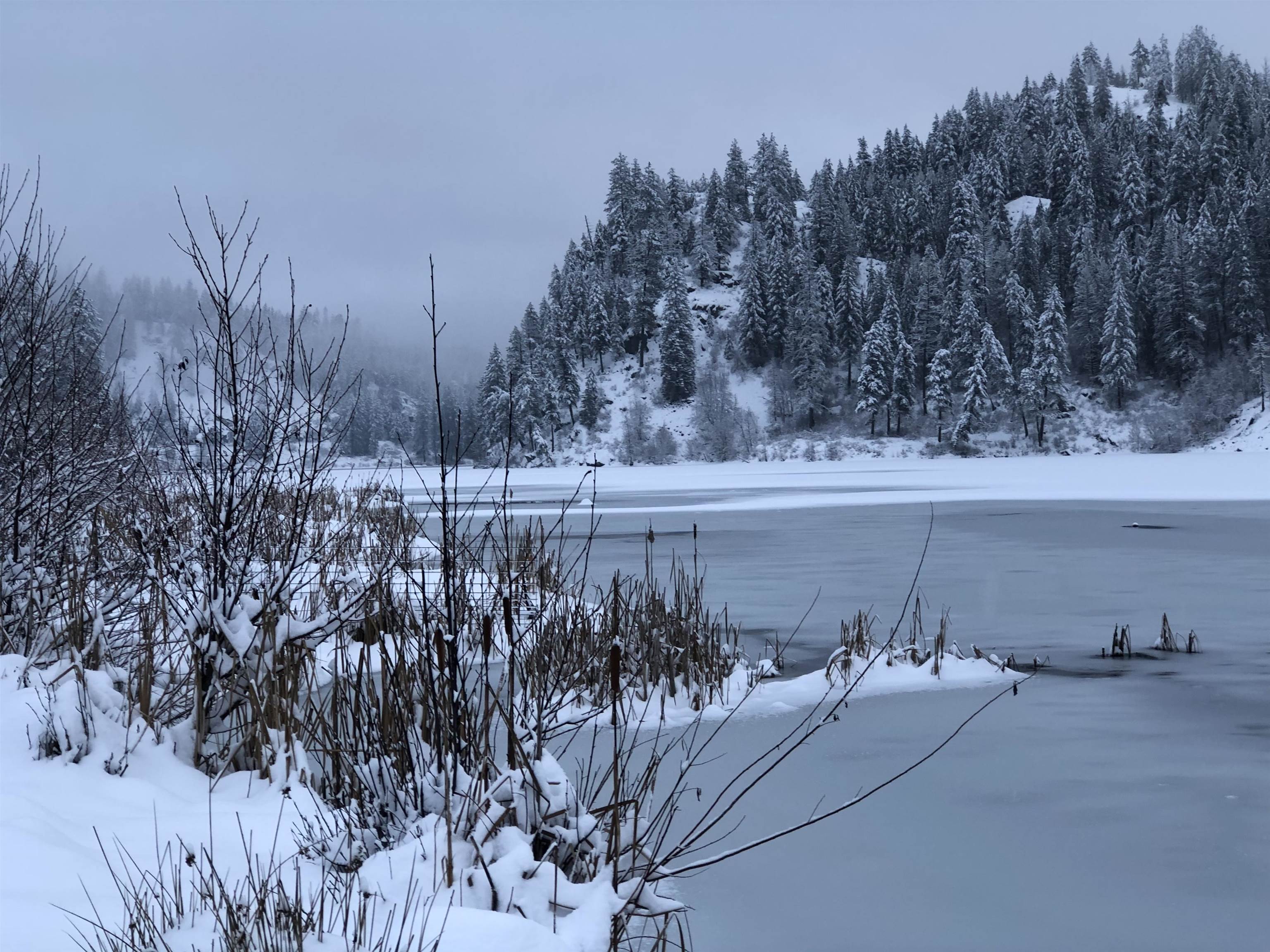 13 Terry Road Elk, WA 99009 - Photo 39 of 41