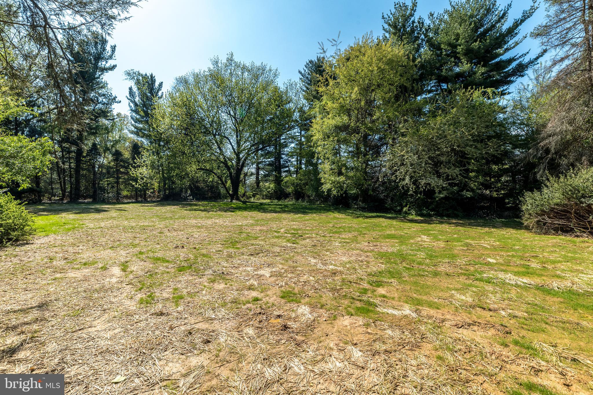 Buck Road Huntingdon Valley, PA 19006 - Photo 3 of 5 a view of a yard with a trees