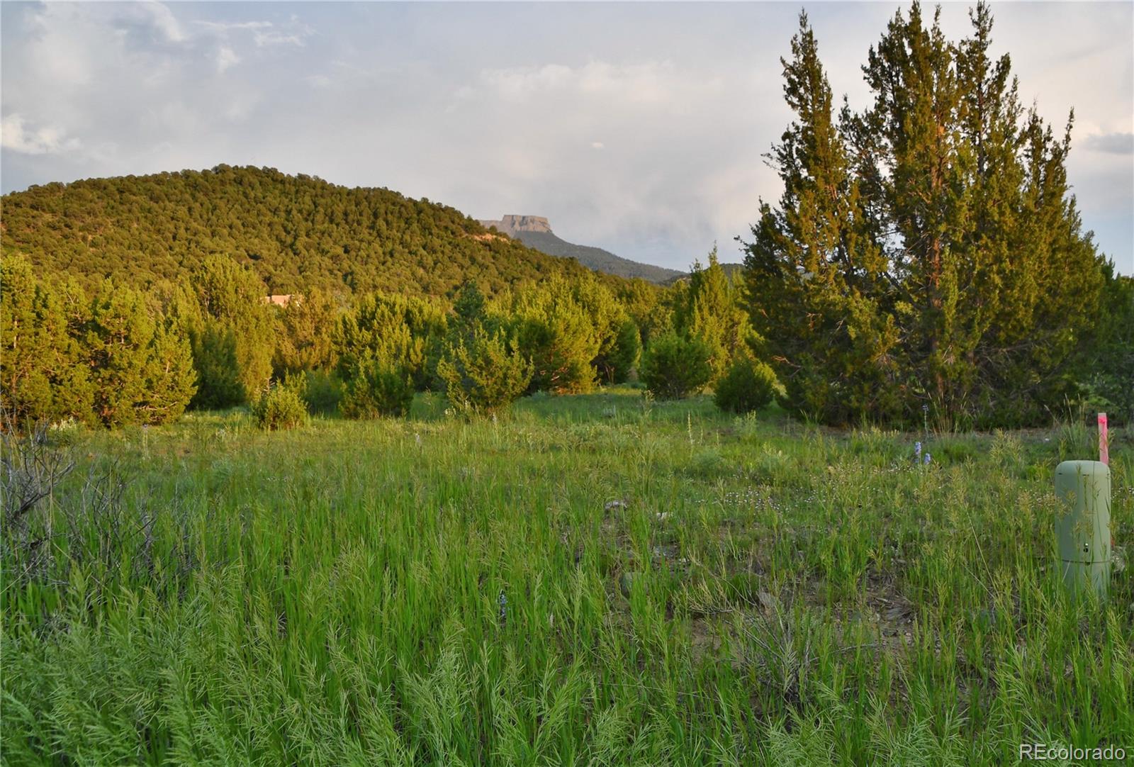 406 Riata Drive Trinidad, CO 81082 - Photo 4 of 12 a view of garden