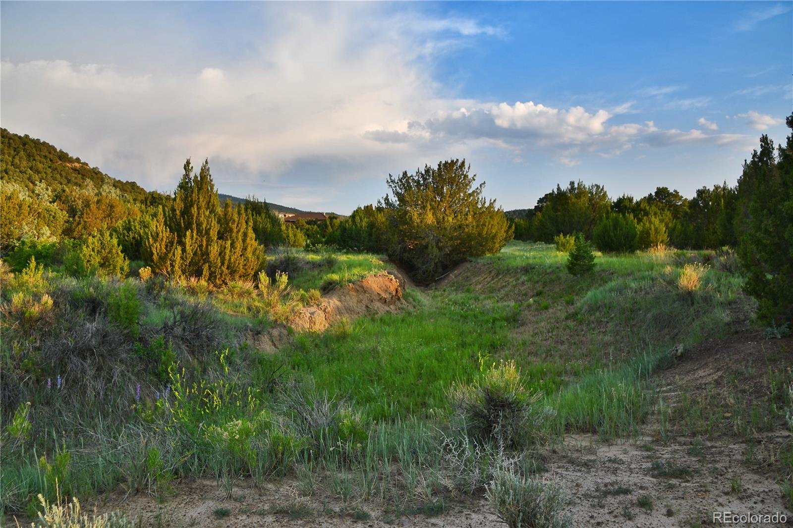 406 Riata Drive Trinidad, CO 81082 - Photo 6 of 12 a view of a bunch of trees