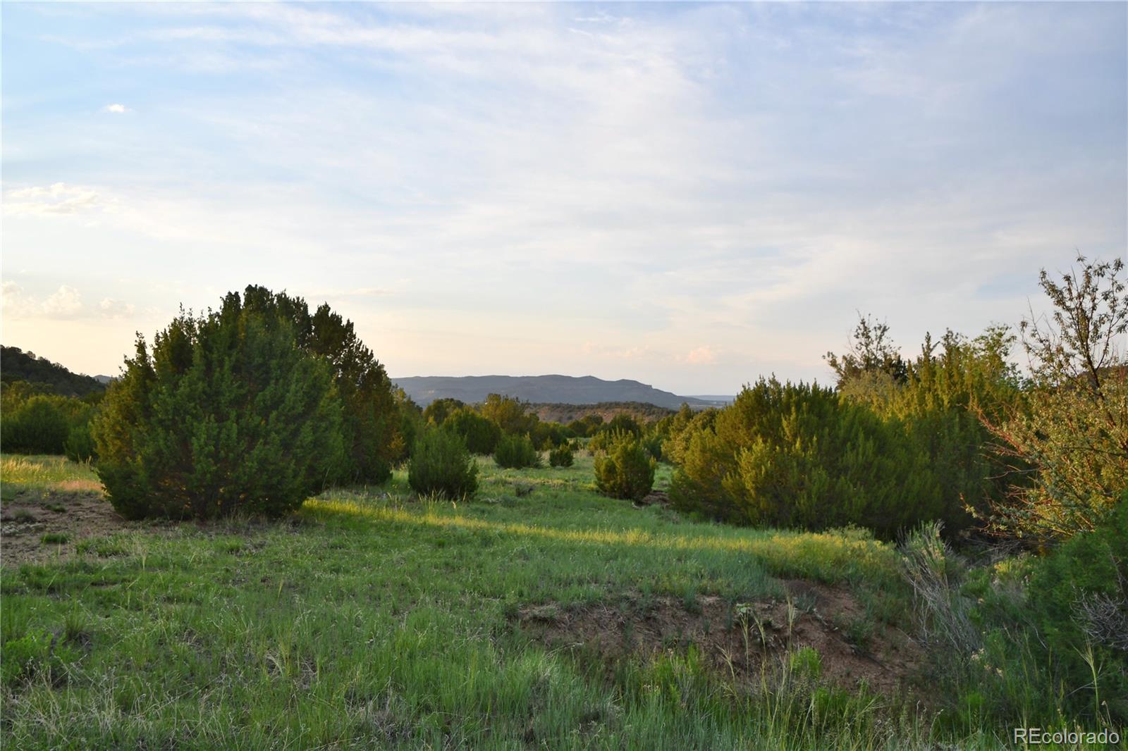 406 Riata Drive Trinidad, CO 81082 - Photo 7 of 12 a view of an outdoor space and a yard