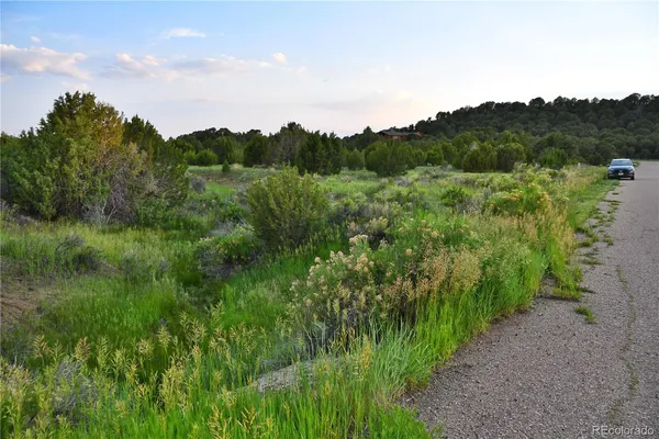 a view of a lush green field