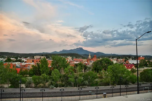a view of a city with flower around