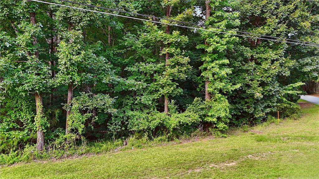 50 Sims Road Covington, GA 30016 - Photo 3 of 19