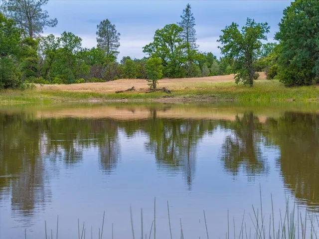 $799,000 | 14015 Highway 36, Red Bluff, CA 96080