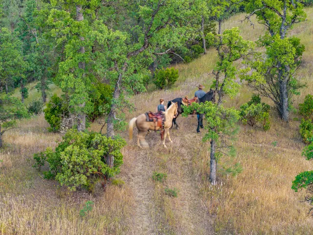 $799,000 | 14015 Highway 36, Red Bluff, CA 96080