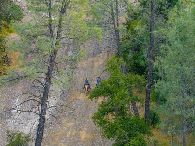 $799,000 | 14015 Highway 36, Red Bluff, CA 96080