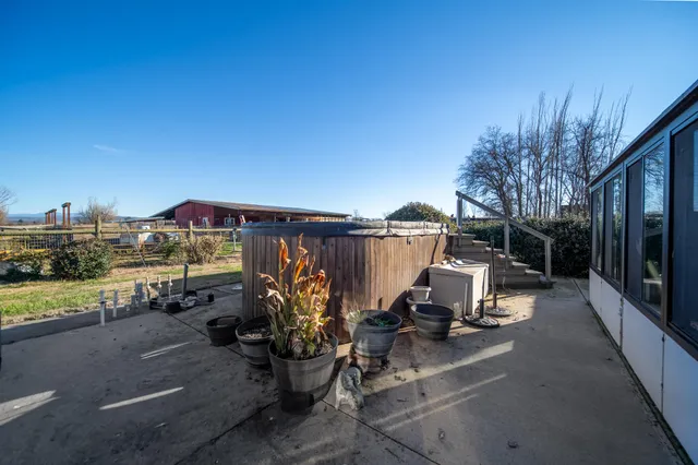 a view of a yard covered in the forest