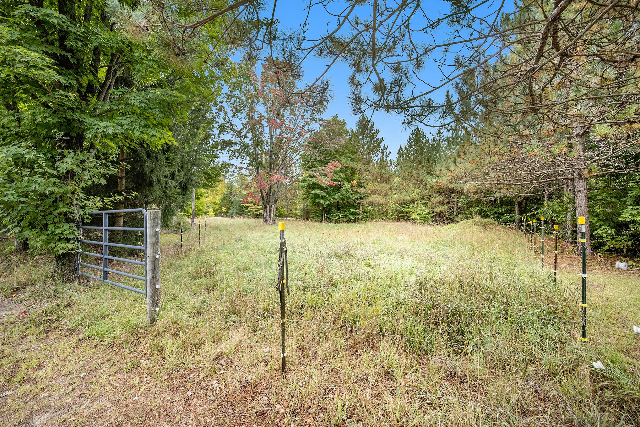 8751 Stoney Ridge Road Vanderbilt, MI 49795 - Photo 28 of 39 Gallery Image 28
