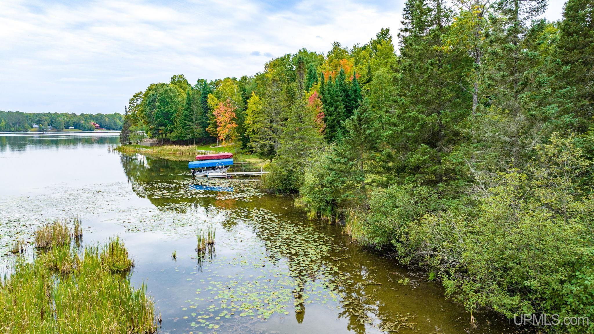 Tbd Hagerman Lake Road Iron River, MI 49935 - Photo 12 of 15
