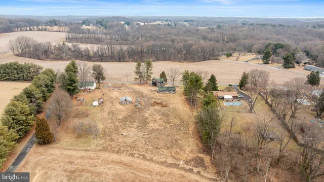 a view of a dry yard with trees