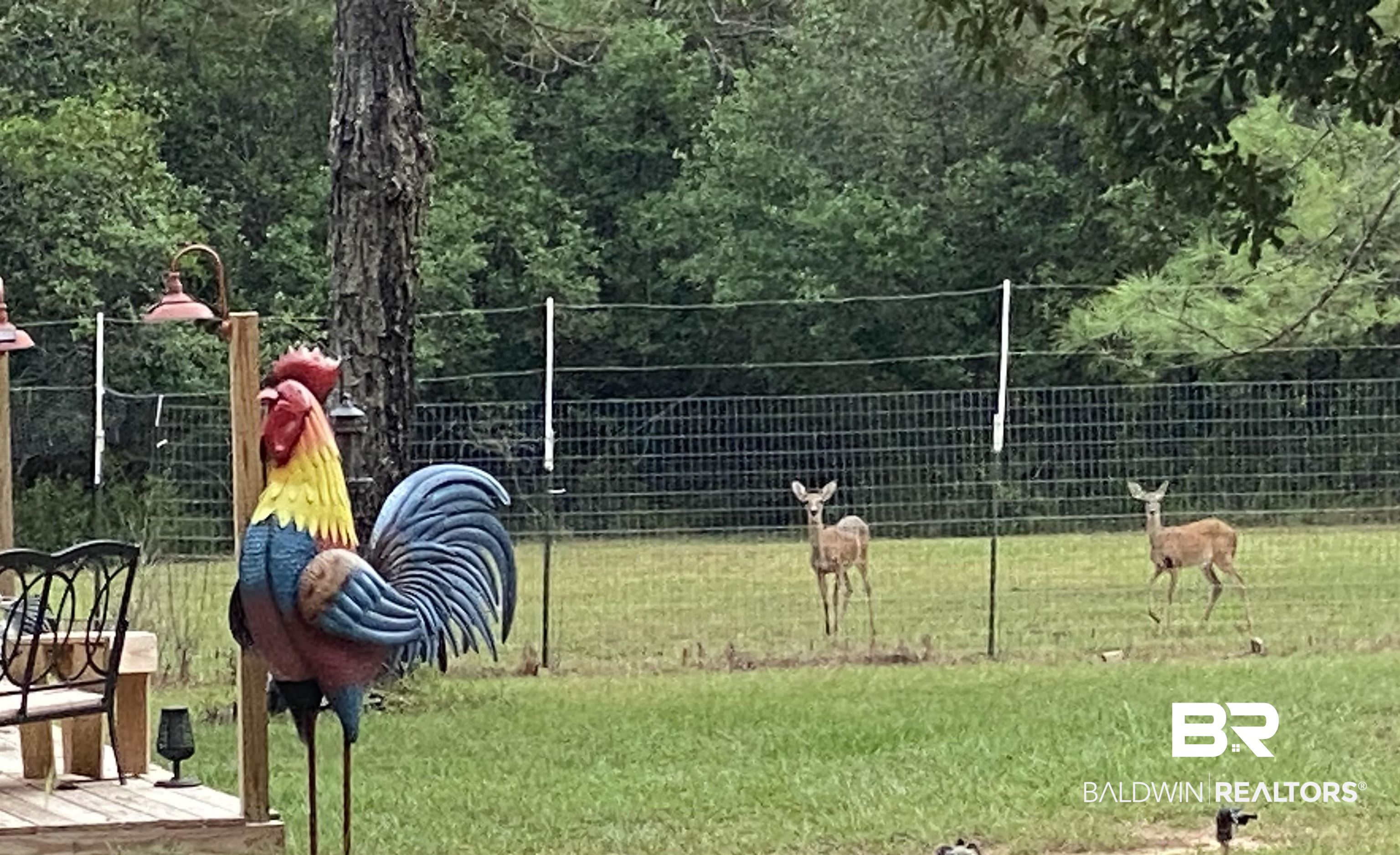 21305 River Road Robertsdale, AL 36567 - Photo 14 of 50 DEER LOVE the AREA
