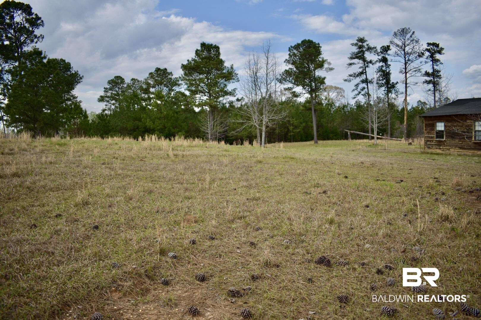 14320 Nicholsville Road Thomasville, AL 36784 - Photo 5 of 14