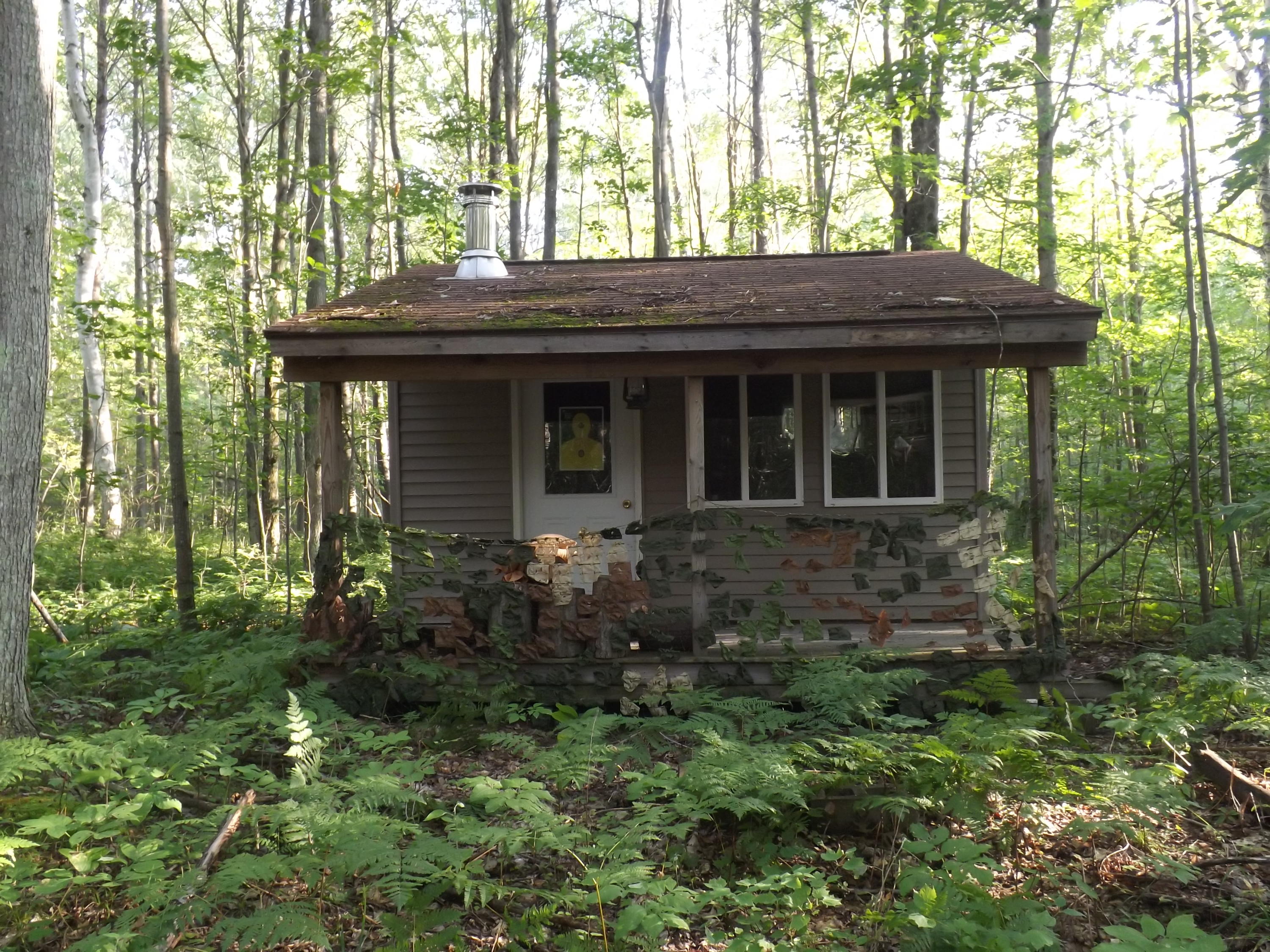 Coville Road Mikado, MI 48745 - Photo 11 of 16 Gallery Image 11