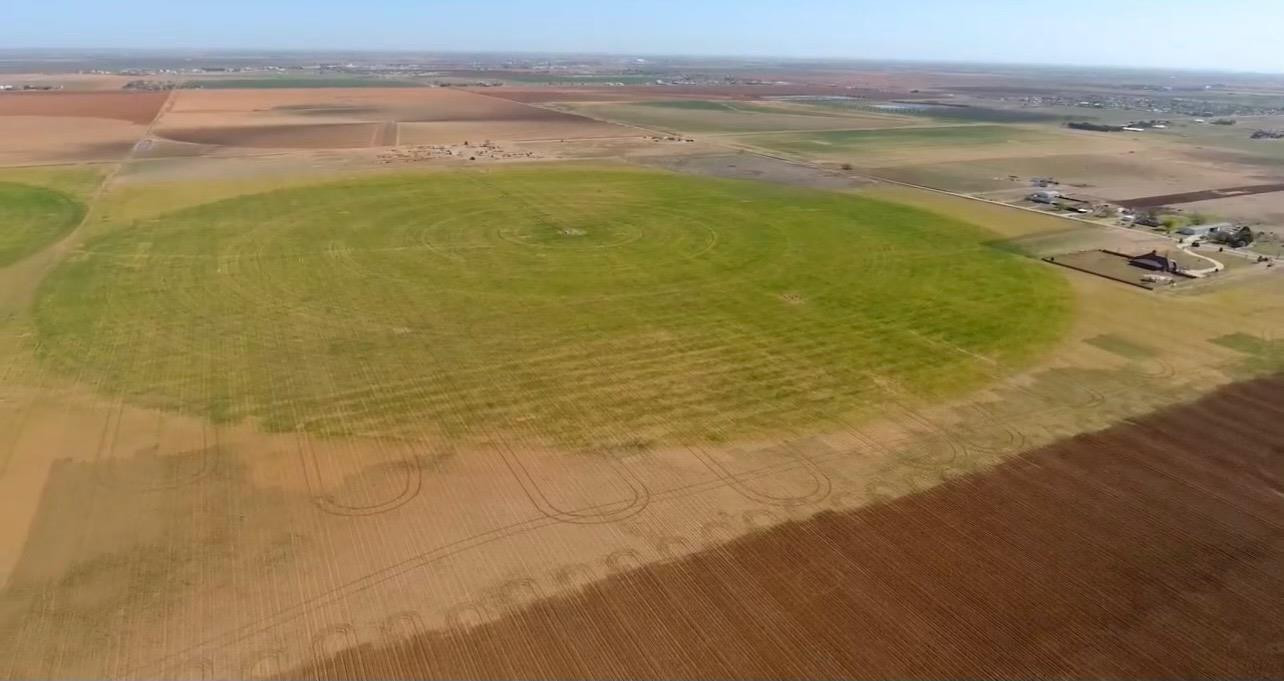 15410 County Road 1300 Ropesville, TX 79358 - Photo 1 of 7 Photo 1