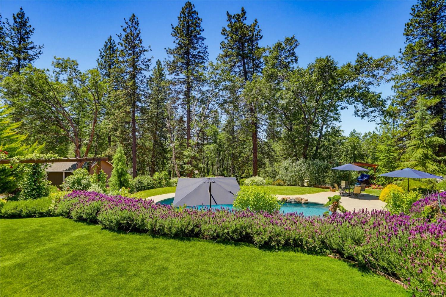 10213 Evergreen Ranch Court Grass Valley, CA 95949 - Photo 80 of 98