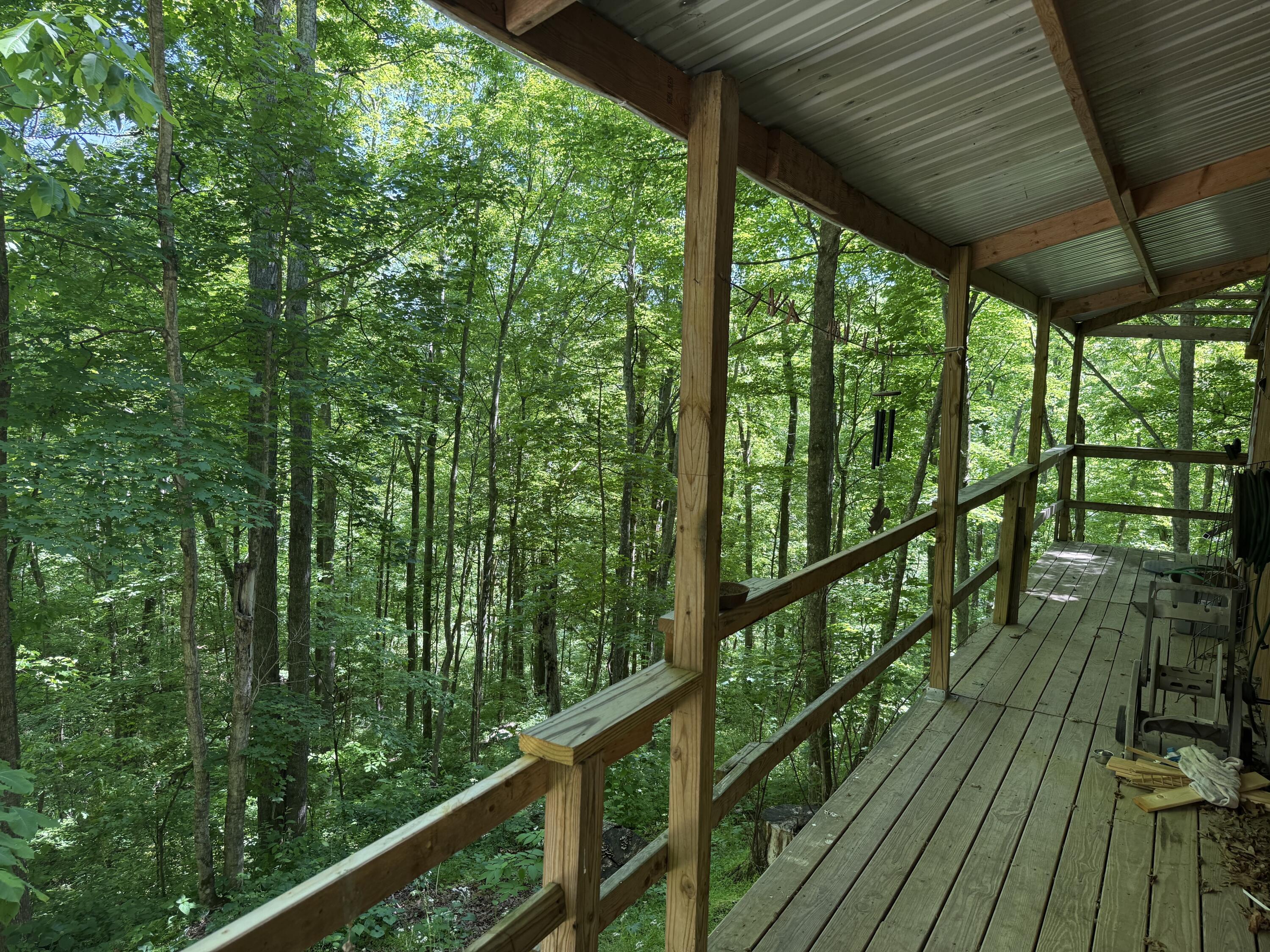 299 Igo Road Morehead, KY 40351 - Photo 4 of 19 IMG_2881