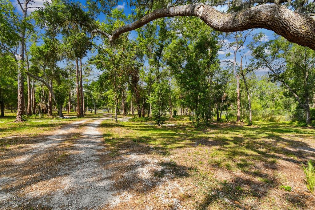 2853 Saffold Road Wimauma, FL 33598 - Photo 24 of 62 a swimming pool with outdoor seating and yard