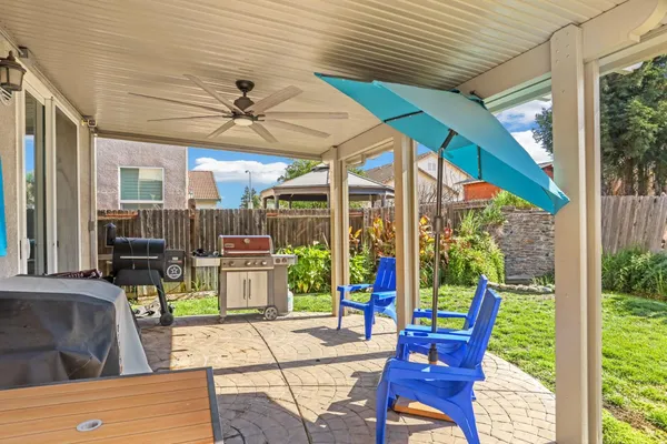 a view of a garden with plants