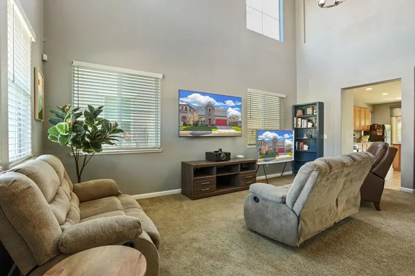 a living room with furniture flower pot and a flat screen tv